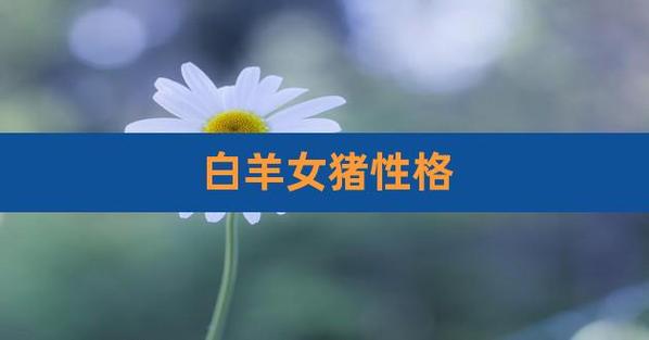 属猪白羊座喜欢的女人