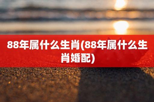 88男适合找哪年出生女人