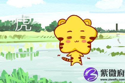 首次约会属虎人会选择在哪里