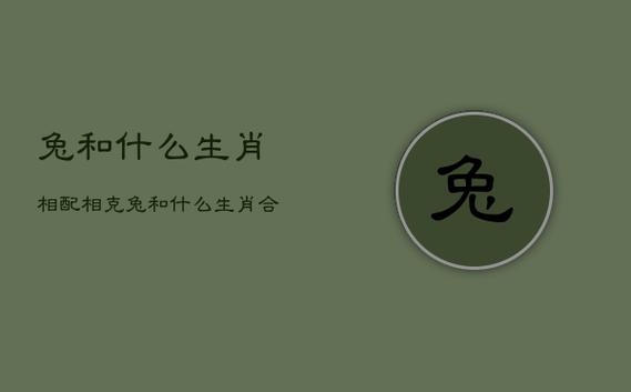 生肖属兔的和什么属相最配、相克?