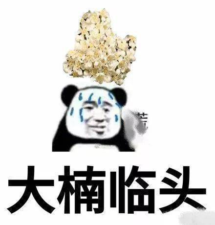 19921220什么星座
