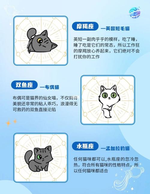 双子座在什么状态最能吃苦