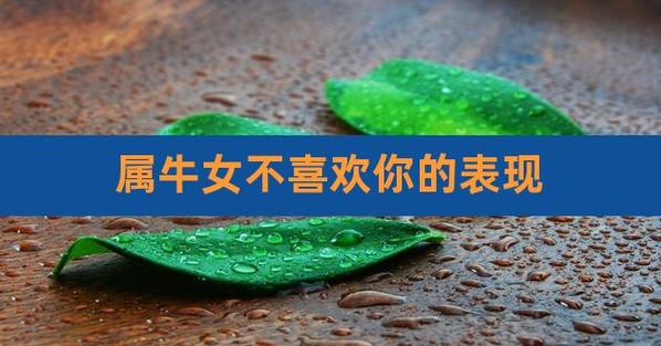 属牛女人不爱你表现