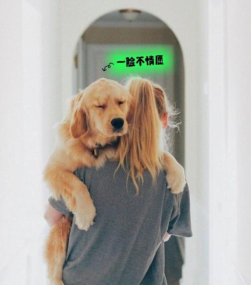 梦见养狗还和我很亲密
