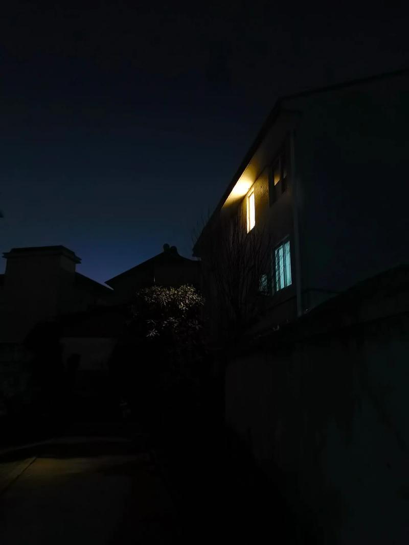 梦见被猫缠 周公解梦之梦到被猫缠