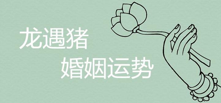 龙遇猪是什么结果