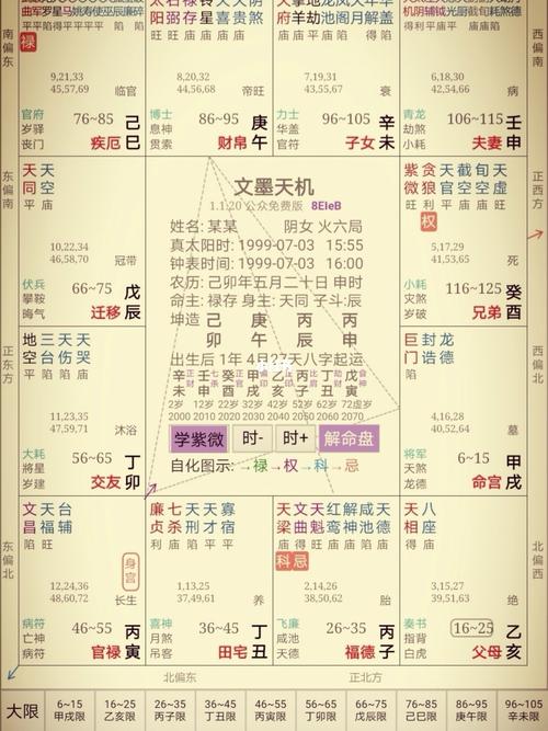 最好的紫微排盘详批