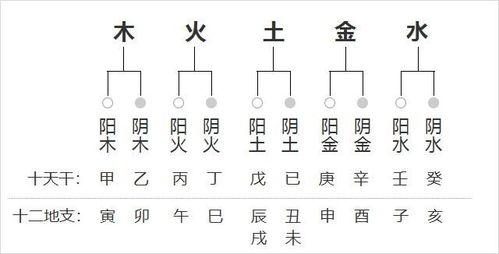 生辰八字阴阳测算