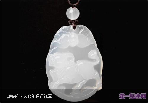 属蛇的人2014年运程,旺运锦囊