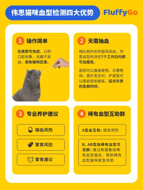 各血型最适合选择的宠物