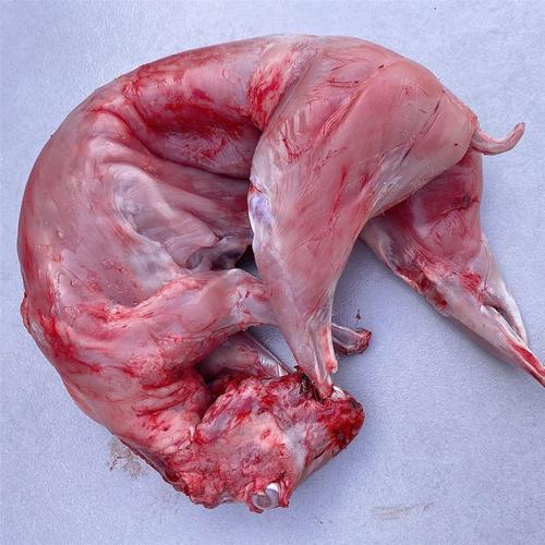 梦见兔子肉和一只兔子