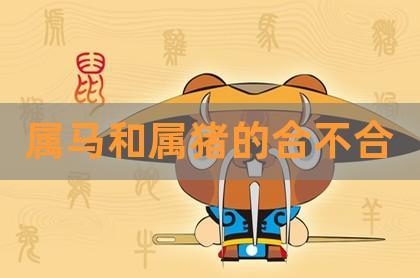 属猪女和属马男会长久么?属马农历十月份出生的命运好吗?