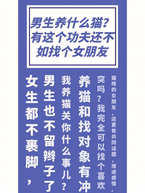 说什么话会让属马立马炸毛