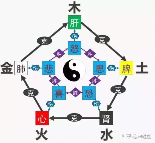 五行正解:阴阳五行与中医的全息思维