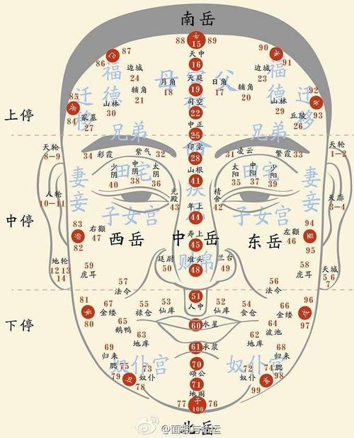 面相评分哪些人最受欢迎