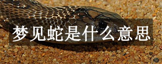 梦见蛇来了是什么意思