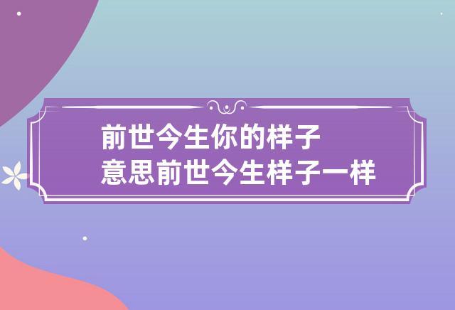 前世今生你的样子意思