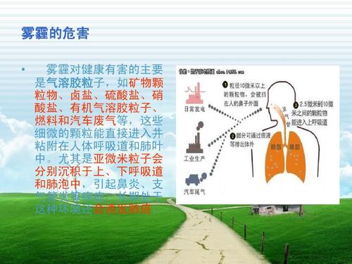 雾霾对属羊影响最严重的是什么