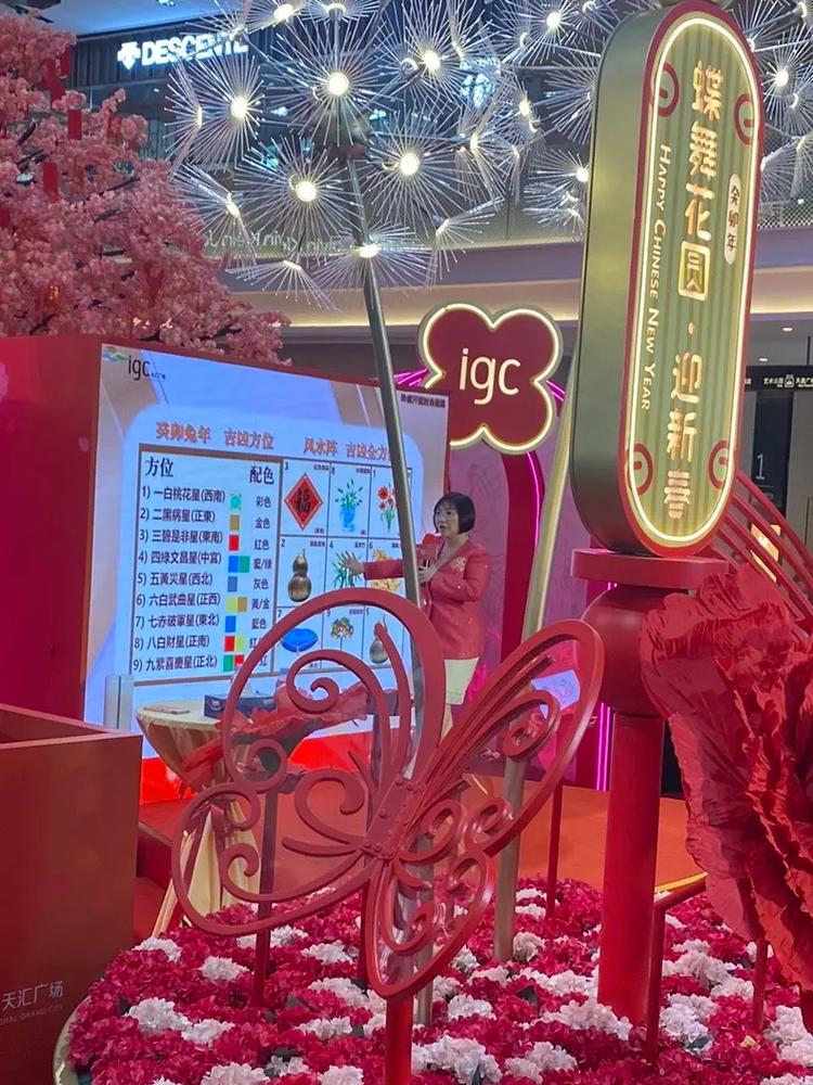 麦玲玲兔年生肖理财锦囊