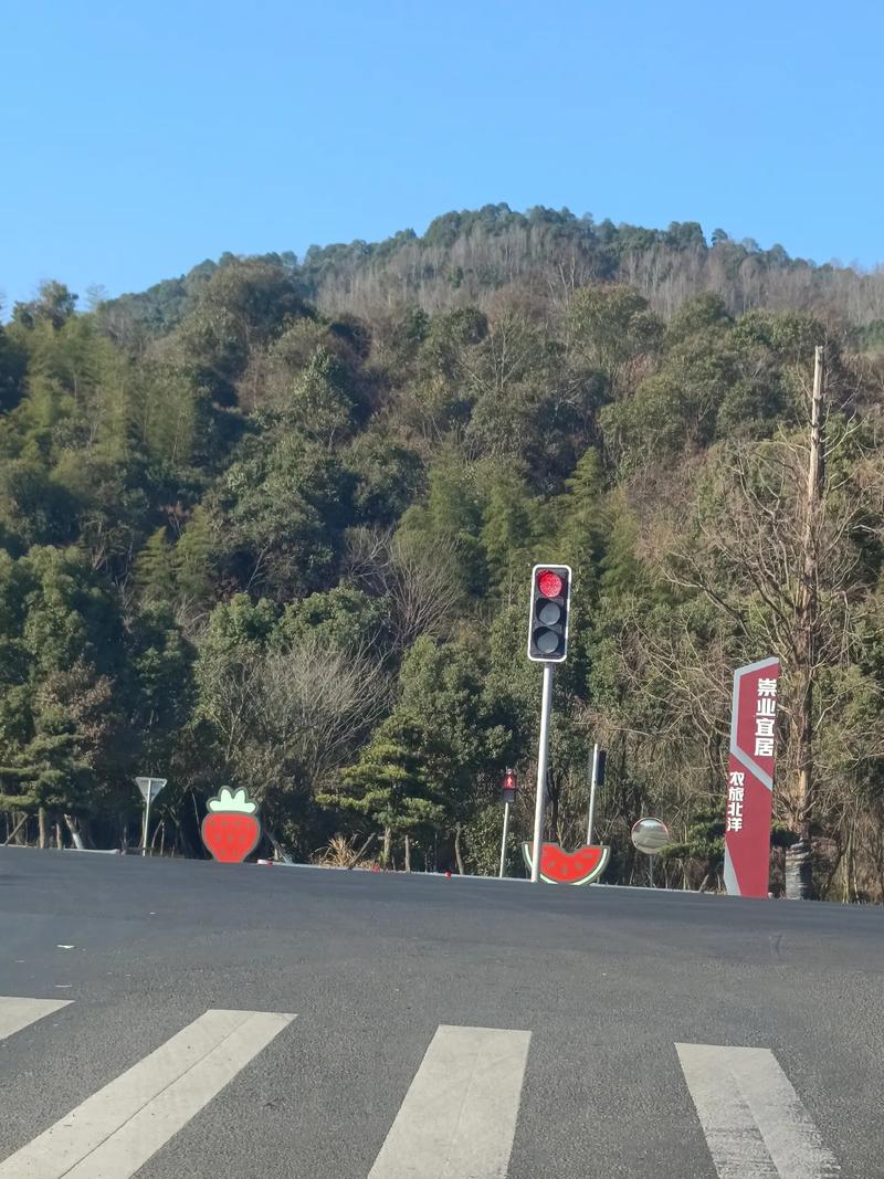1992年猴几岁交运