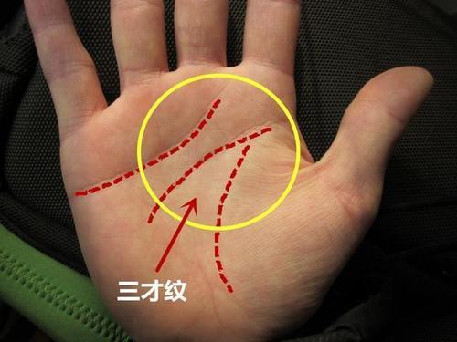 手相算命:三才纹是什么?