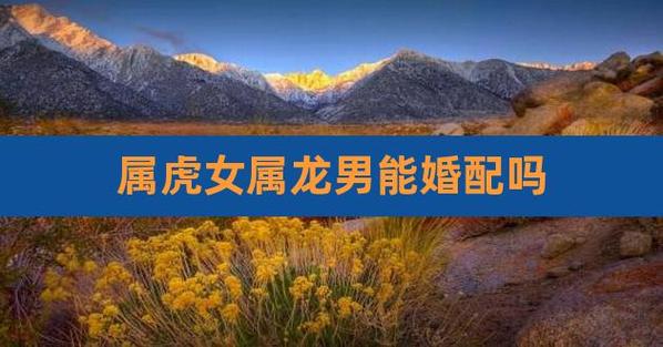 男虎女龙是上等婚吗