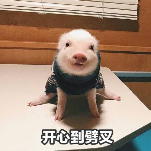 遇到好事开心到劈叉