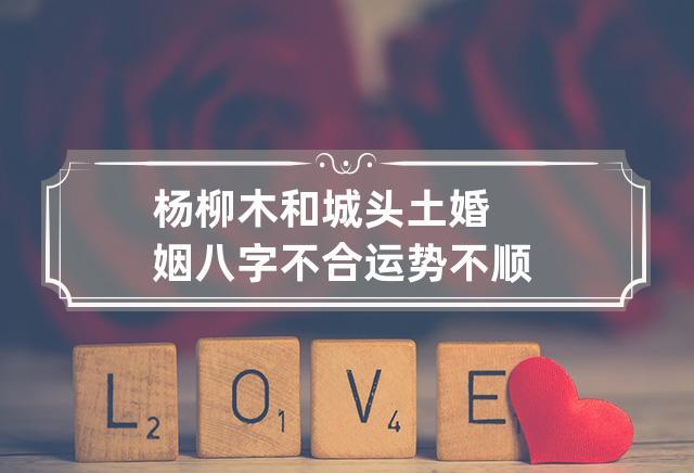 杨柳木和城头土婚姻