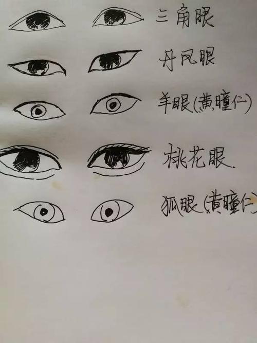 吊眼和丹凤眼的区别在哪里呢