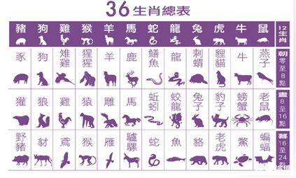 属猴女看男生的第一眼是什么