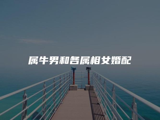 属牛女生喜欢交什么样的朋友