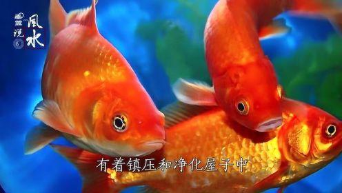 房子太古老,可以放这几个大型物件镇阳气