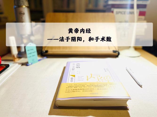 法于阴阳和于术数是什么意思