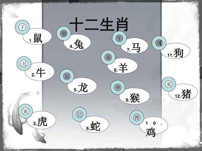 属猴女对自己的定位是什么