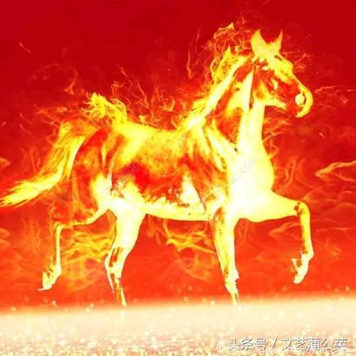 属马的人如何过上高级生活