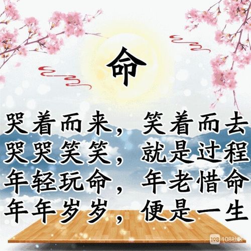 年龄不大却非常惜命