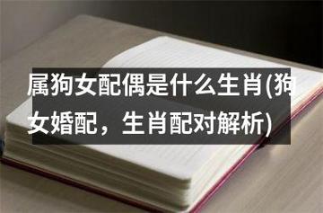 不同月份生的属狗女的最佳婚配选择