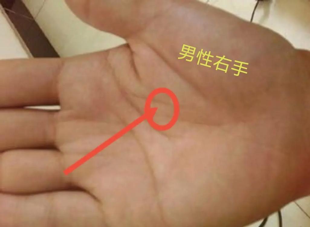 怎么样看手相 要注意什么