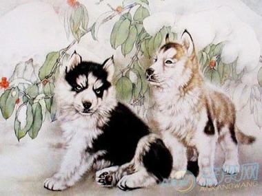 属狗的六个合生肖