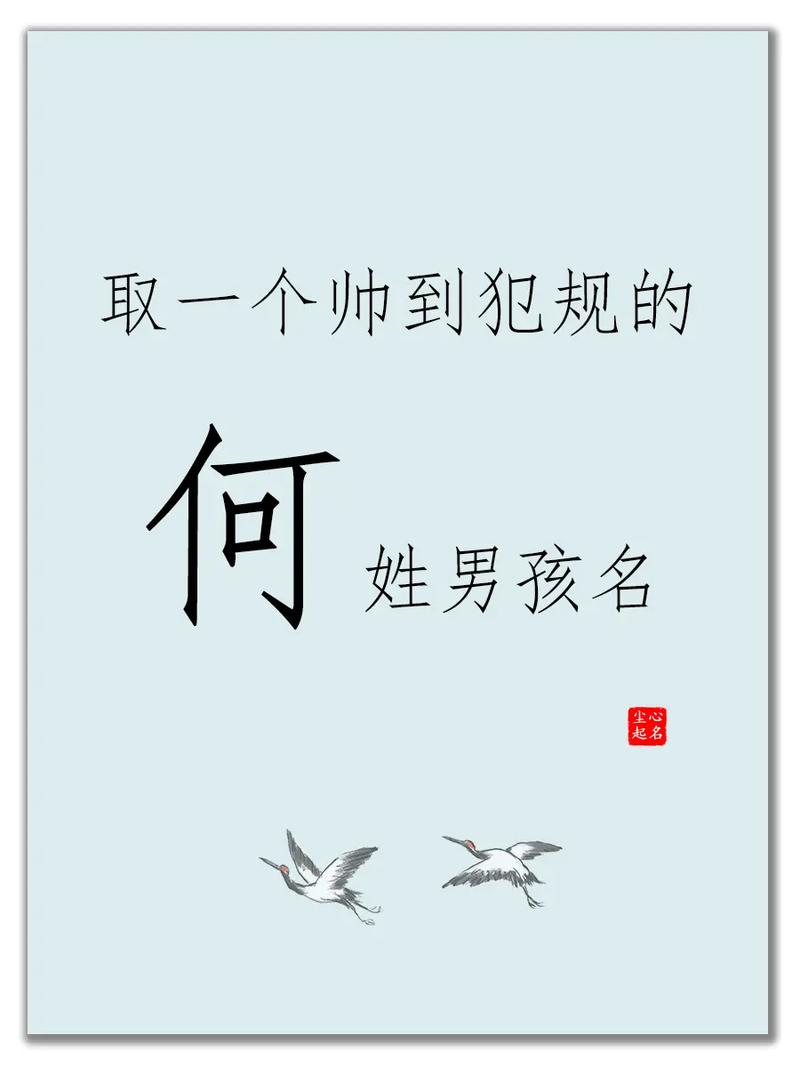 何姓男孩名字库