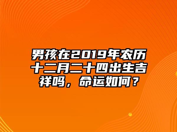 2019年农历正月二十四出生男孩命运好吗,今天日子好不好?