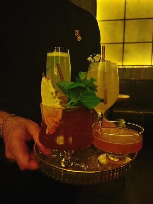 属羊在什么情况下会走进酒吧