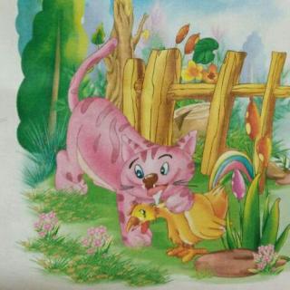 梦见公鸡和猫