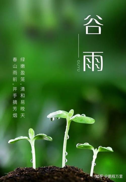 2021谷雨出生男孩命好不好