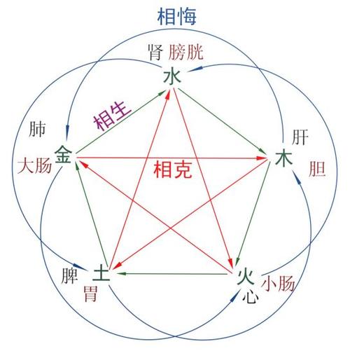 五脏与五行相生相克