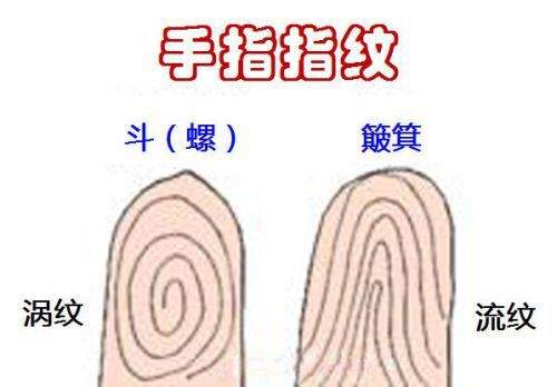 老人说十个簸箕的人穷真的吗?命运坎坷吗?