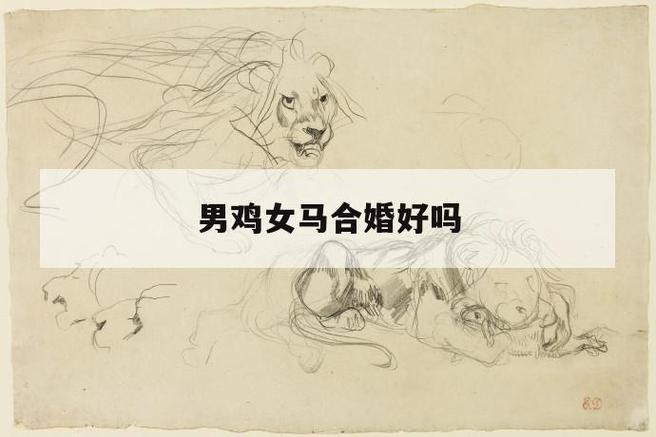 属鸡女和属马男配对