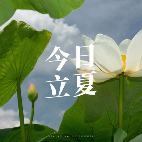 属虎的人立夏节气出生命运怎么样?