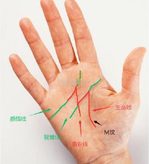 事业线有两条是什么意思
