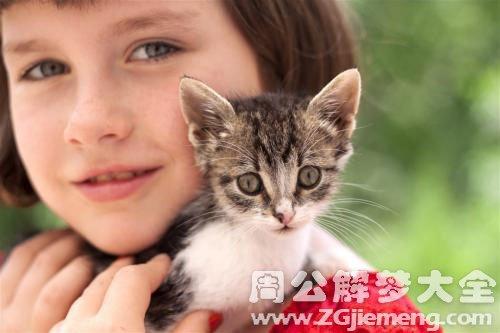 梦见好多猫和小孩